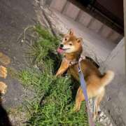 ヒメ日記 2026/02/21 00:15 投稿 塚田　りさ ミセスサマンサPLUS