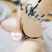 ヒメ日記 2025/10/24 11:53 投稿 柿元　いちか ミセスサマンサPLUS