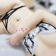 ヒメ日記 2025/10/25 14:57 投稿 柿元　いちか ミセスサマンサPLUS