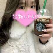 ヒメ日記 2025/11/26 19:00 投稿 長澤　すず NADIA大阪店