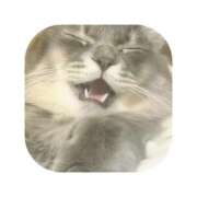 ヒメ日記 2025/08/11 03:49 投稿 えま ミセスサマンサ