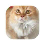 ヒメ日記 2025/08/18 18:41 投稿 えま ミセスサマンサ