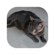 ヒメ日記 2025/08/20 08:58 投稿 えま ミセスサマンサ