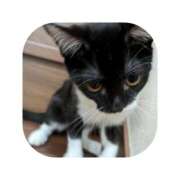 ヒメ日記 2025/08/23 13:18 投稿 えま ミセスサマンサ