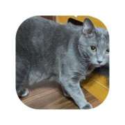 ヒメ日記 2025/08/23 18:32 投稿 えま ミセスサマンサ