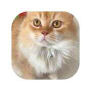 ヒメ日記 2025/08/26 08:52 投稿 えま ミセスサマンサ