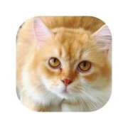 ヒメ日記 2025/08/30 10:15 投稿 えま ミセスサマンサ