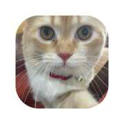 ヒメ日記 2025/09/03 10:44 投稿 えま ミセスサマンサ