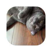 ヒメ日記 2025/09/06 14:23 投稿 えま ミセスサマンサ