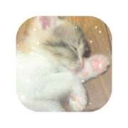 ヒメ日記 2025/09/15 02:59 投稿 えま ミセスサマンサ