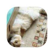 ヒメ日記 2025/09/16 12:15 投稿 えま ミセスサマンサ