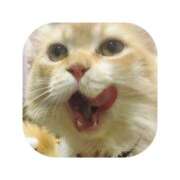 ヒメ日記 2025/09/19 18:08 投稿 えま ミセスサマンサ