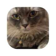 ヒメ日記 2025/09/24 07:15 投稿 えま ミセスサマンサ