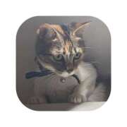 ヒメ日記 2025/09/26 01:31 投稿 えま ミセスサマンサ