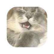 ヒメ日記 2025/10/03 09:19 投稿 えま ミセスサマンサ