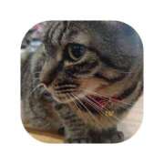 ヒメ日記 2025/10/09 16:16 投稿 えま ミセスサマンサ