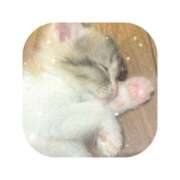 ヒメ日記 2025/10/18 03:46 投稿 えま ミセスサマンサ