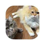 ヒメ日記 2025/10/22 21:07 投稿 えま ミセスサマンサ