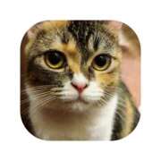 ヒメ日記 2025/10/31 12:04 投稿 えま ミセスサマンサ