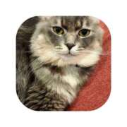 ヒメ日記 2025/11/01 03:01 投稿 えま ミセスサマンサ