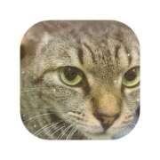 ヒメ日記 2025/11/03 06:59 投稿 えま ミセスサマンサ