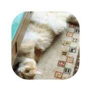 ヒメ日記 2025/11/04 09:10 投稿 えま ミセスサマンサ