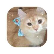 ヒメ日記 2025/11/07 15:35 投稿 えま ミセスサマンサ