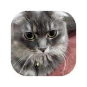 ヒメ日記 2025/11/07 19:12 投稿 えま ミセスサマンサ