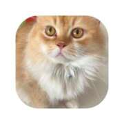 ヒメ日記 2025/11/11 07:01 投稿 えま ミセスサマンサ