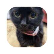 ヒメ日記 2025/12/08 04:43 投稿 えま ミセスサマンサ