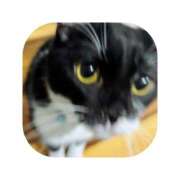 ヒメ日記 2025/12/11 04:03 投稿 えま ミセスサマンサ