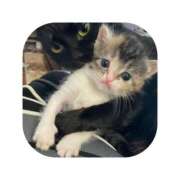 ヒメ日記 2025/12/23 07:01 投稿 えま ミセスサマンサ