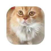 ヒメ日記 2025/12/24 07:13 投稿 えま ミセスサマンサ