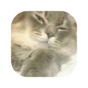 ヒメ日記 2025/12/28 04:46 投稿 えま ミセスサマンサ