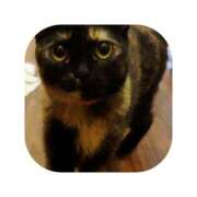 ヒメ日記 2026/01/06 12:33 投稿 えま ミセスサマンサ