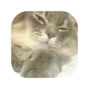 ヒメ日記 2026/01/10 17:57 投稿 えま ミセスサマンサ