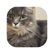 ヒメ日記 2026/01/23 07:27 投稿 えま ミセスサマンサ