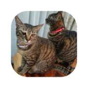 ヒメ日記 2026/01/24 15:12 投稿 えま ミセスサマンサ