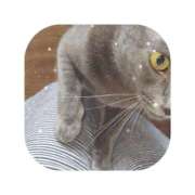 ヒメ日記 2026/01/28 12:24 投稿 えま ミセスサマンサ