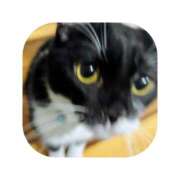 ヒメ日記 2026/01/29 17:09 投稿 えま ミセスサマンサ