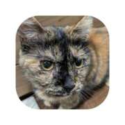 ヒメ日記 2026/01/30 10:09 投稿 えま ミセスサマンサ