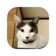 ヒメ日記 2026/01/31 11:48 投稿 えま ミセスサマンサ