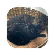 ヒメ日記 2026/02/23 08:16 投稿 えま ミセスサマンサ