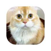 ヒメ日記 2026/03/02 17:17 投稿 えま ミセスサマンサ