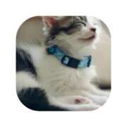 ヒメ日記 2026/03/04 13:01 投稿 えま ミセスサマンサ