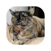 ヒメ日記 2026/03/05 02:58 投稿 えま ミセスサマンサ