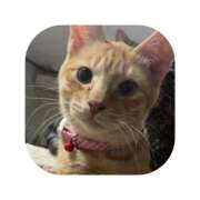 ヒメ日記 2026/03/16 18:24 投稿 えま ミセスサマンサ