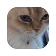 ヒメ日記 2026/03/17 09:29 投稿 えま ミセスサマンサ