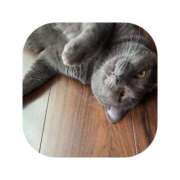 ヒメ日記 2026/03/17 14:03 投稿 えま ミセスサマンサ