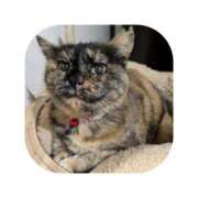 ヒメ日記 2026/03/21 04:15 投稿 えま ミセスサマンサ